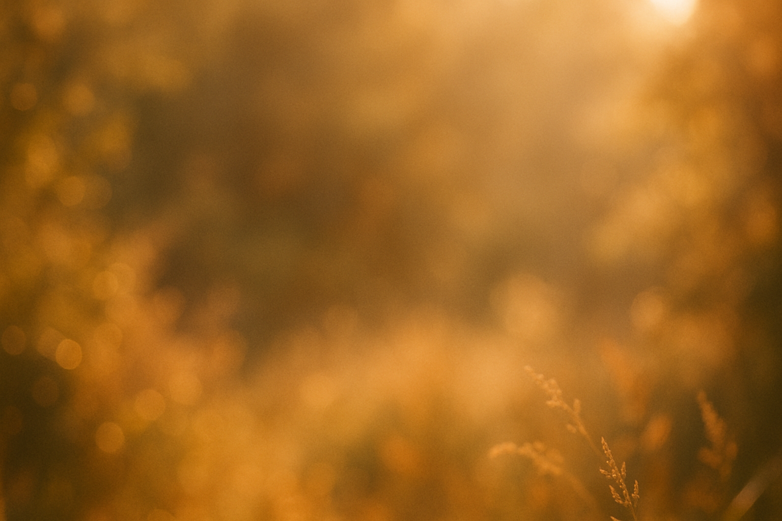 Ein orange-grünes Hintergrundbild, das Natur zeigt