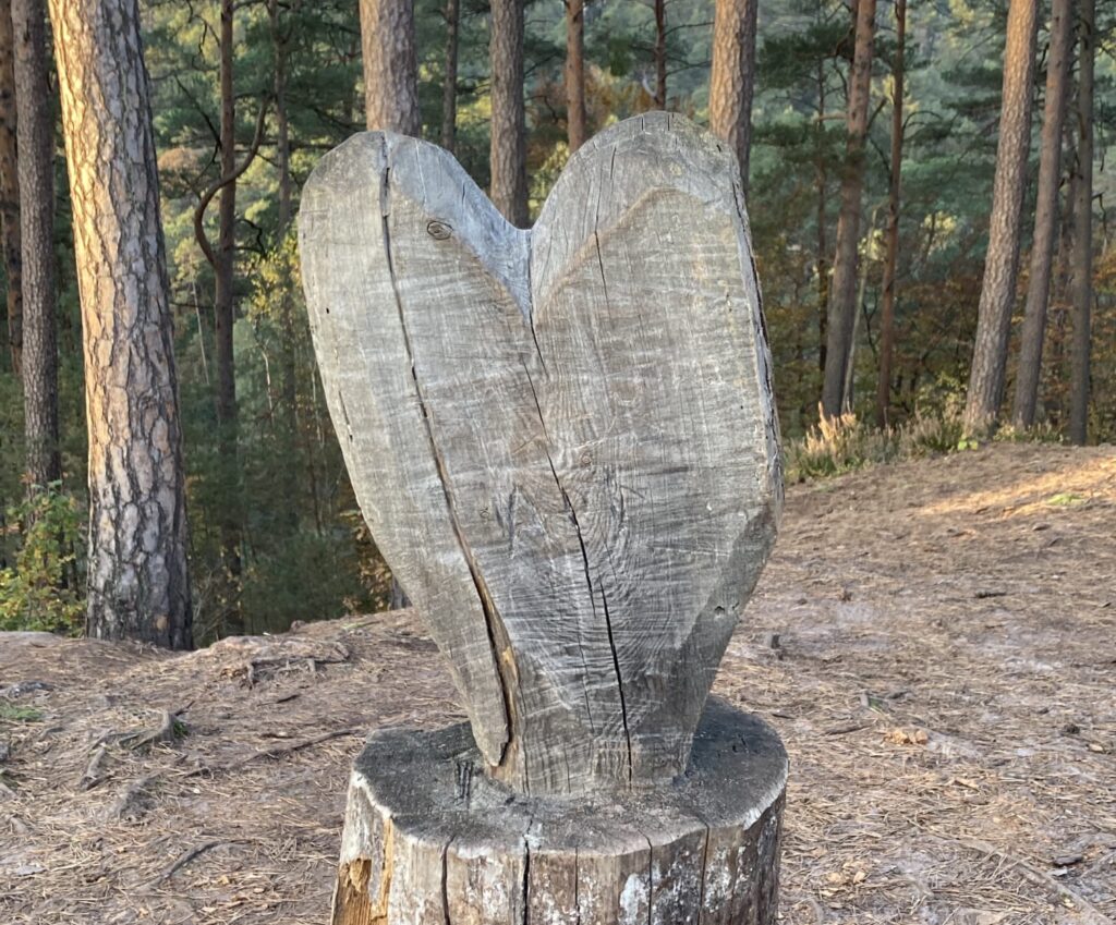 Ein Herz aus einem alten Baumstamm geschnitten